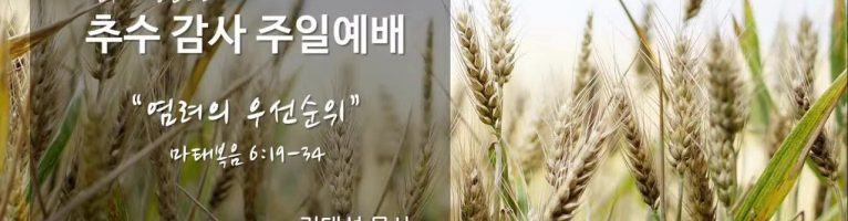 “염려의 우선순위” (마태복음 6:19-34)