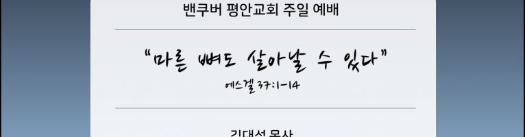 2022-11-13 “마른 뼈도 살아날 수 있다”(겔 37:1-14)